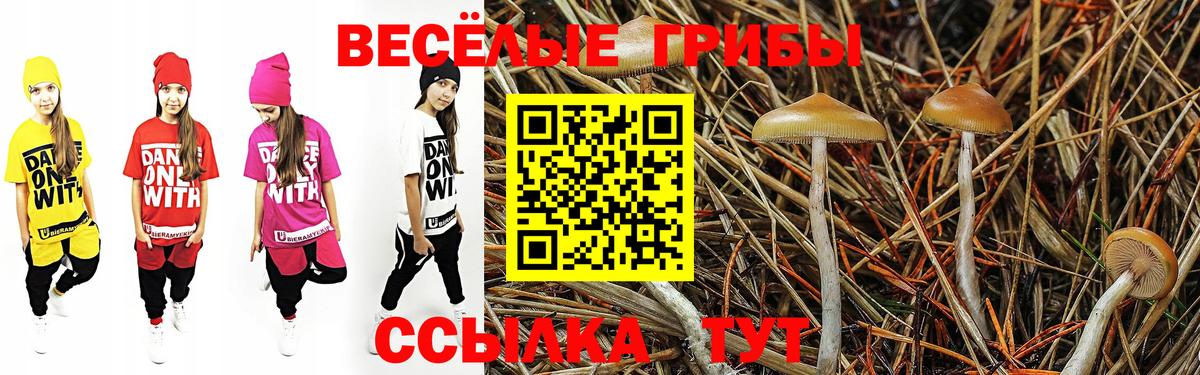 Псилоцибиновые грибы Psilocybine cubensis Таганрог